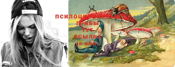 ешки Магас