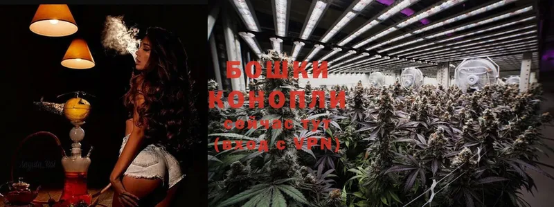 купить  сайты  Красавино  Каннабис SATIVA & INDICA 